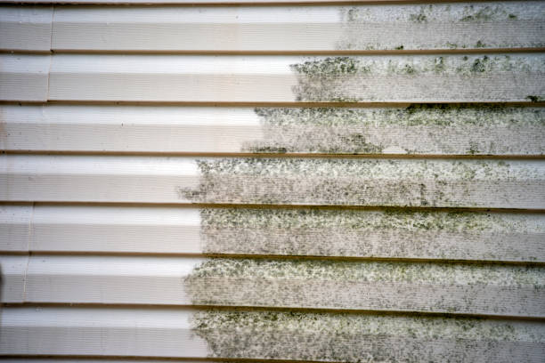 Best Residential Junk Removal  in Marmet, WV